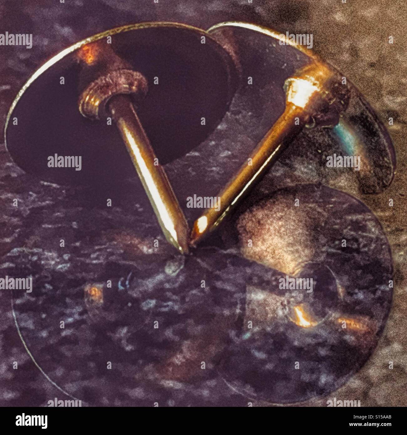 Brass drawing pins Stock Photo Alamy