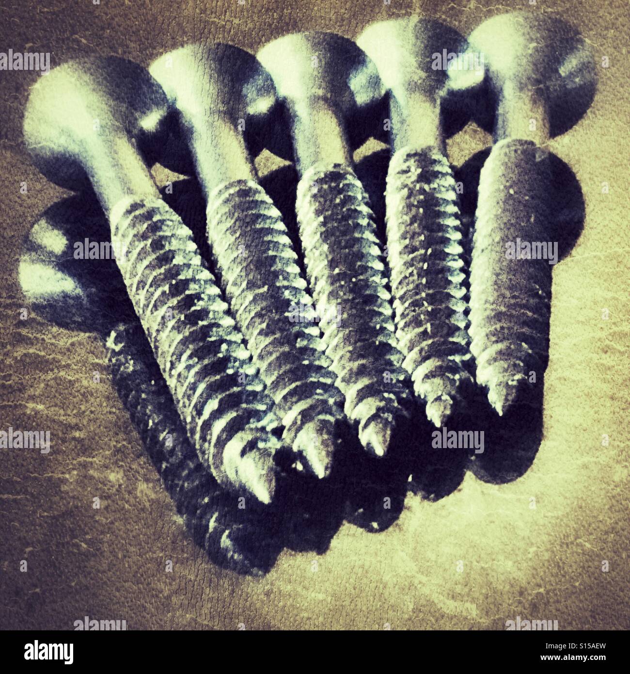 Five screws - Smartphone Captured Stock Image