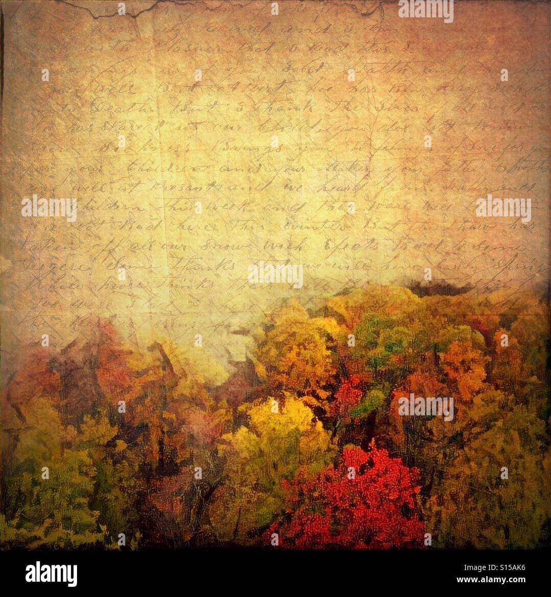 A digital artwork of trees with colorful leaves in the foreground and a weathered, worn background with a hint of handwritten text on it - Smartphone Captured Stock Image