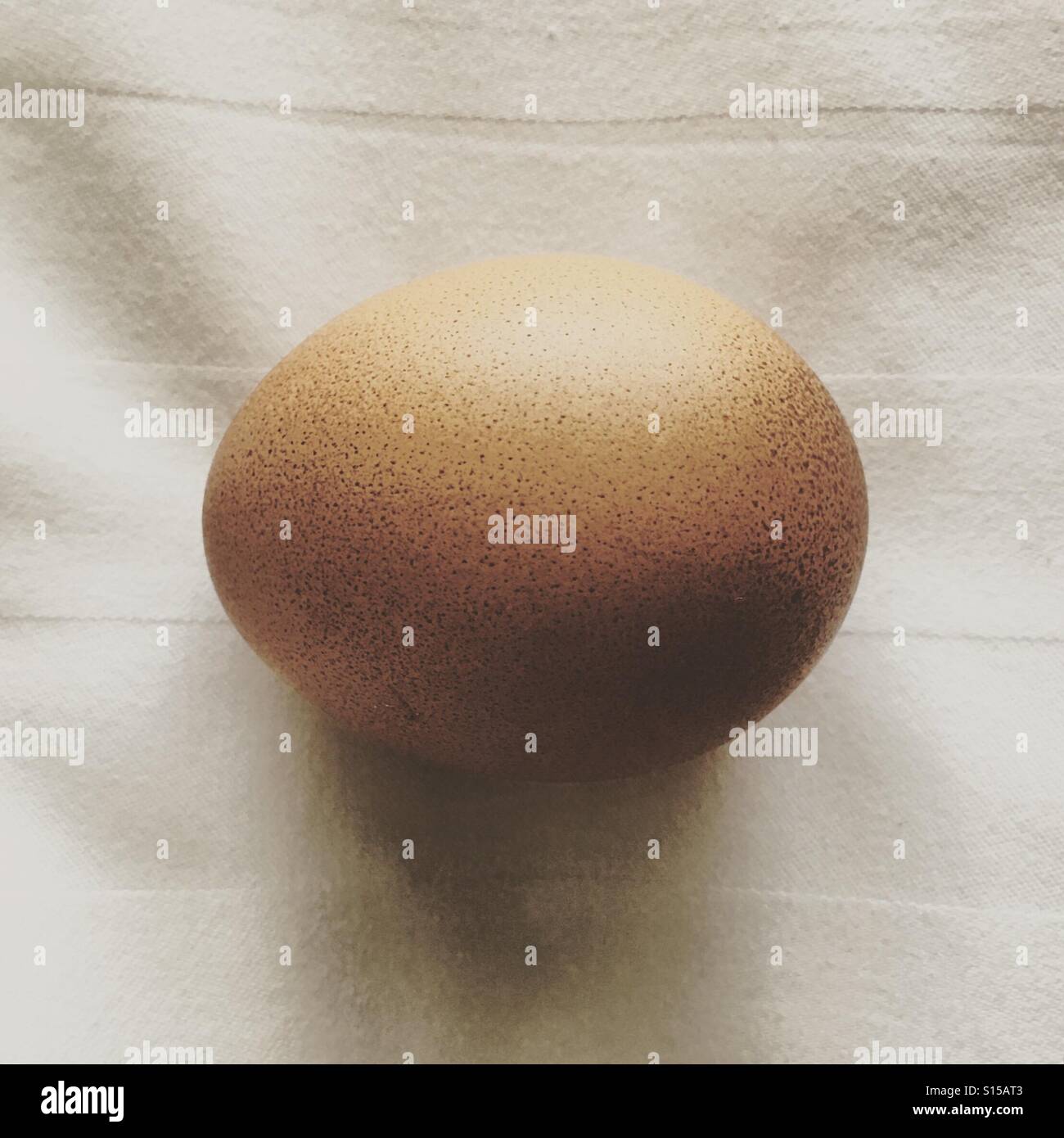 An Egg - Smartphone Captured Stock Image