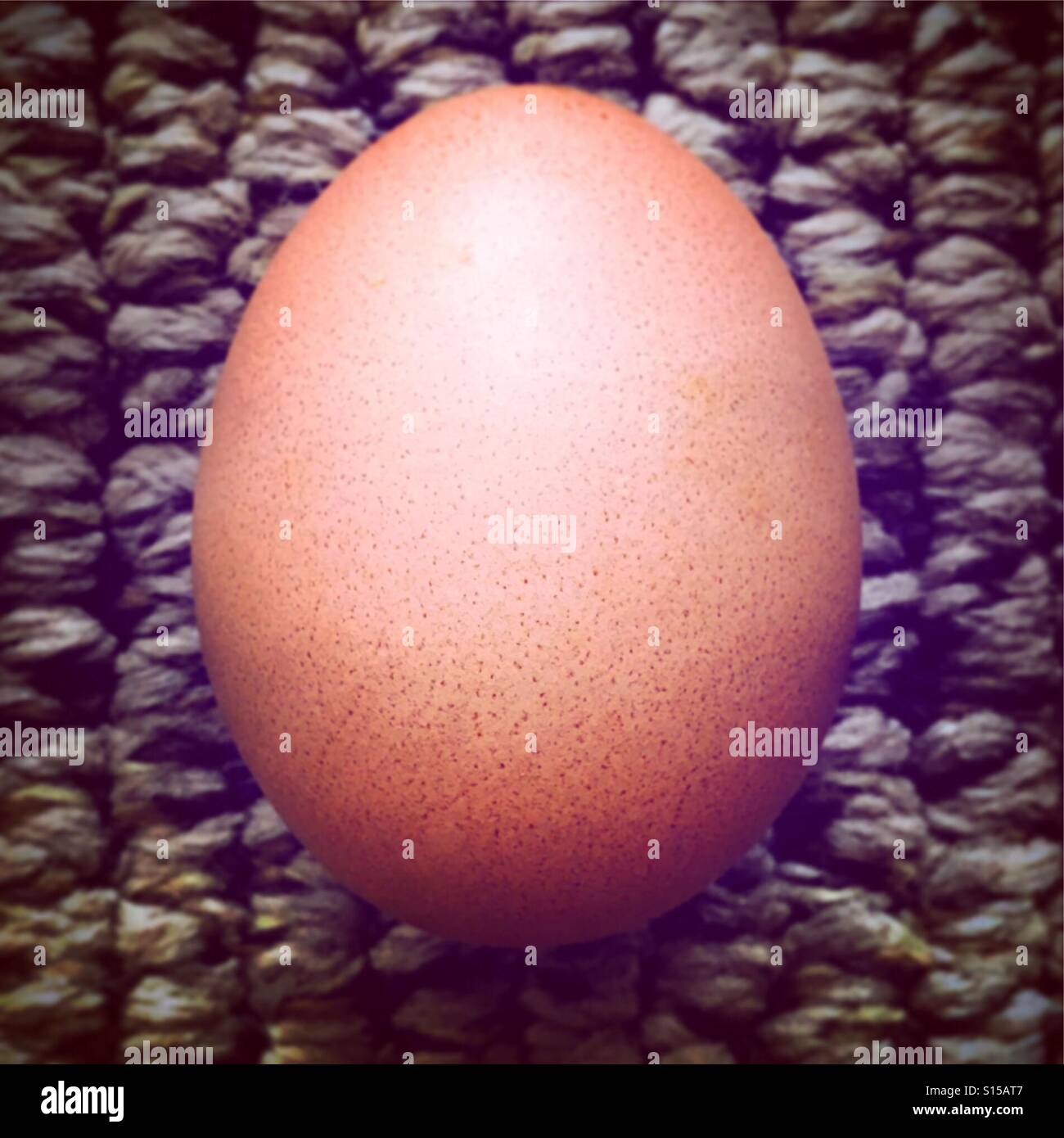 One Big Egg Stock Photo