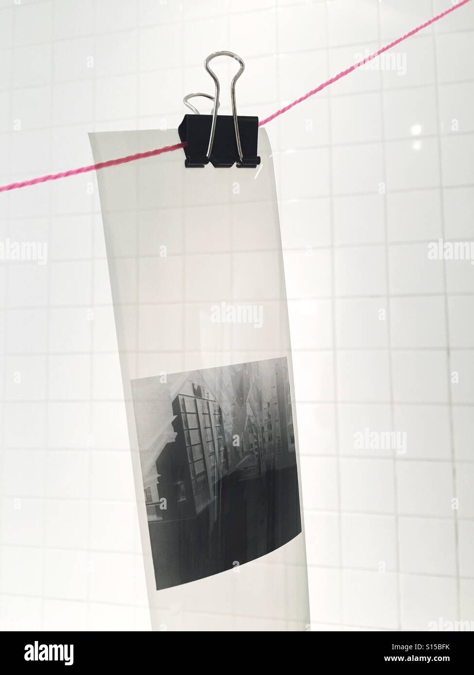 Medium format film negative hanging from a pink string Stock Photo