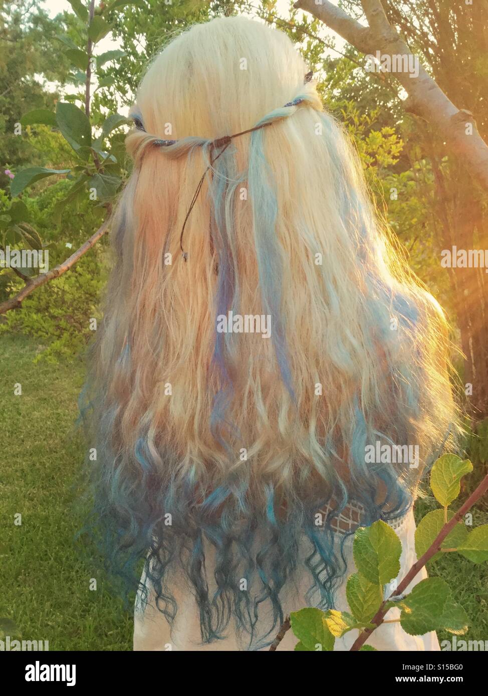 Blonde with blue ombre, rear view Stock Photo - Alamy