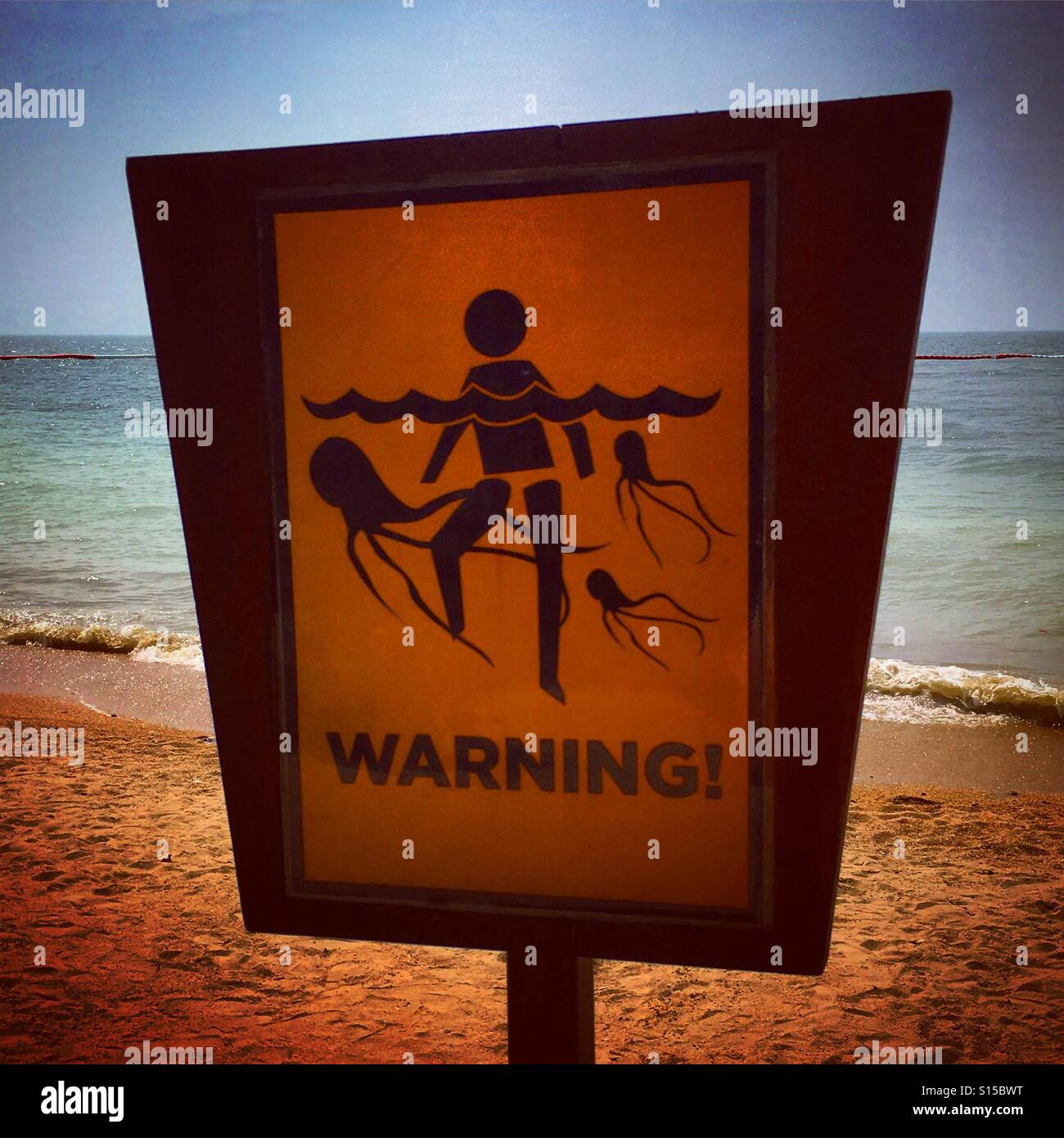 Sign board about jellyfishes - Smartphone Captured Stock Image