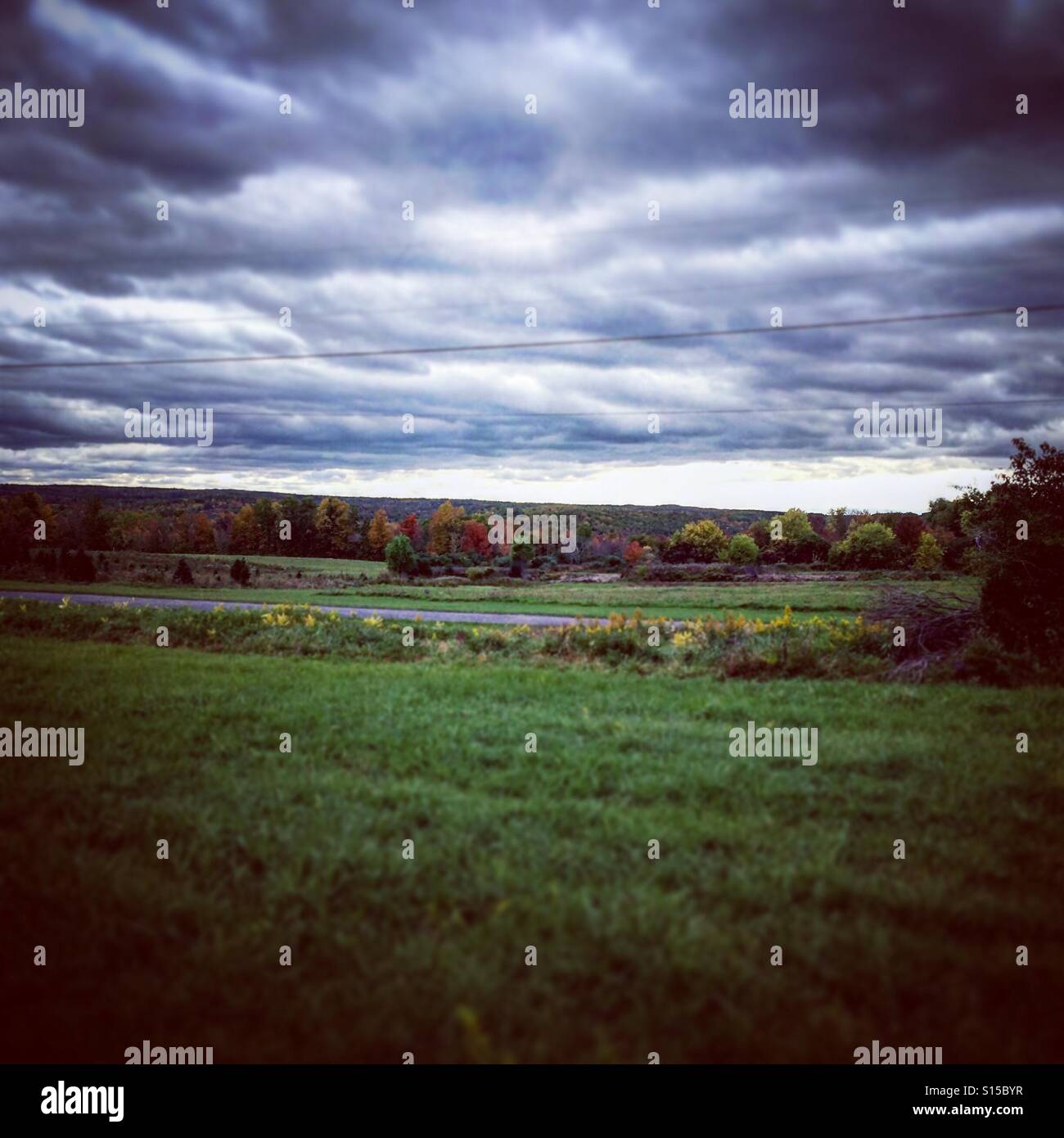 Altamont orchard hires stock photography and images Alamy