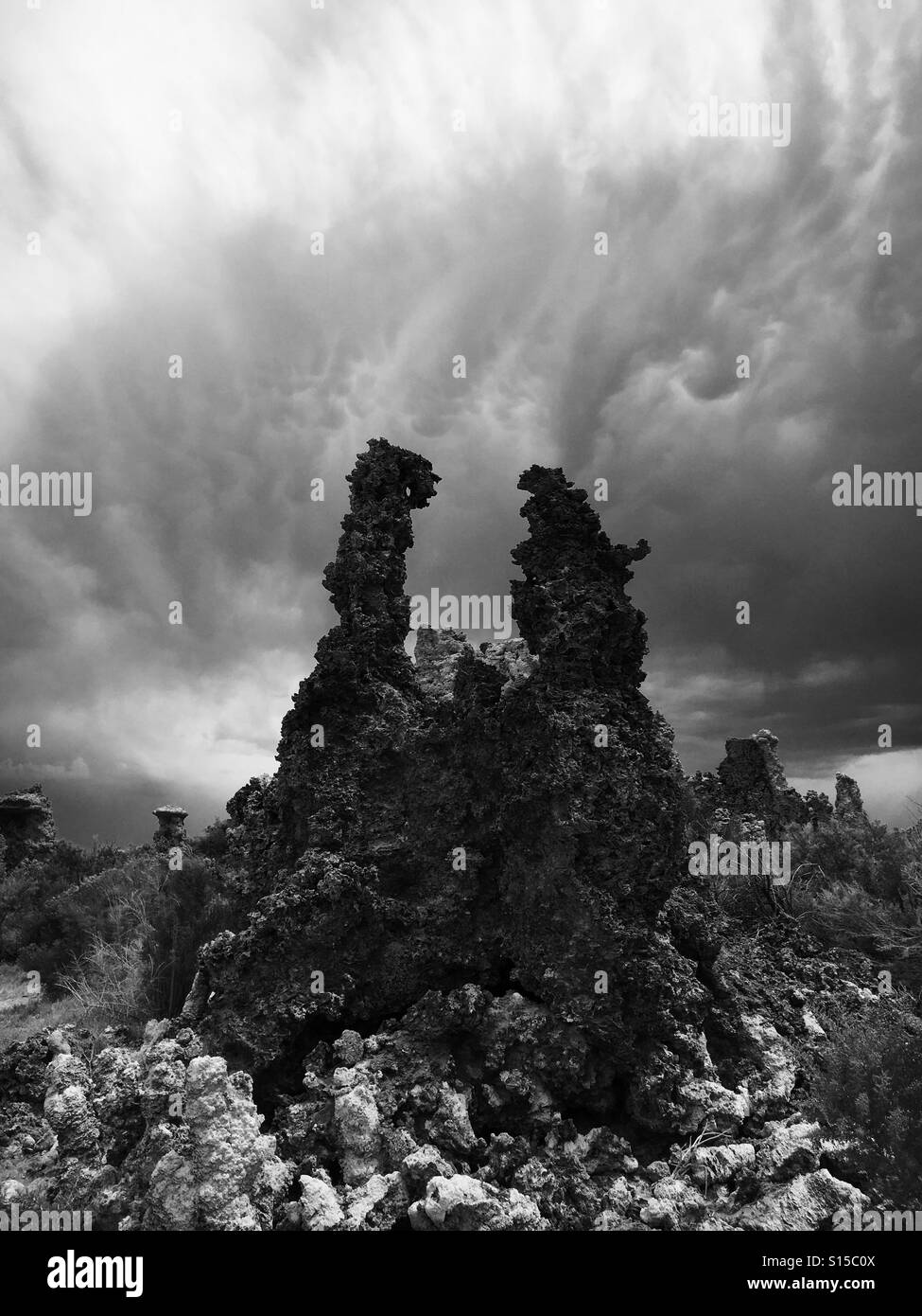 New Mono High Resolution Stock Photography and Images - Alamy