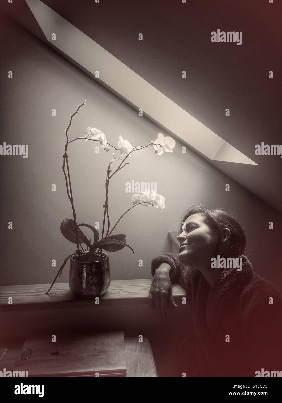 Woman studies lilies under skylight - Smartphone Captured Stock Image
