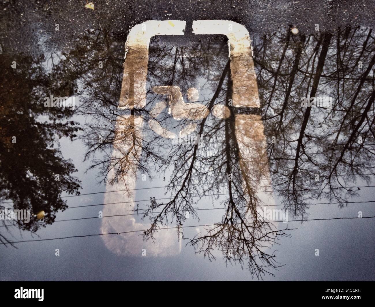 Road handicapped parking sign in a puddle with reflection - Smartphone Captured Stock Image
