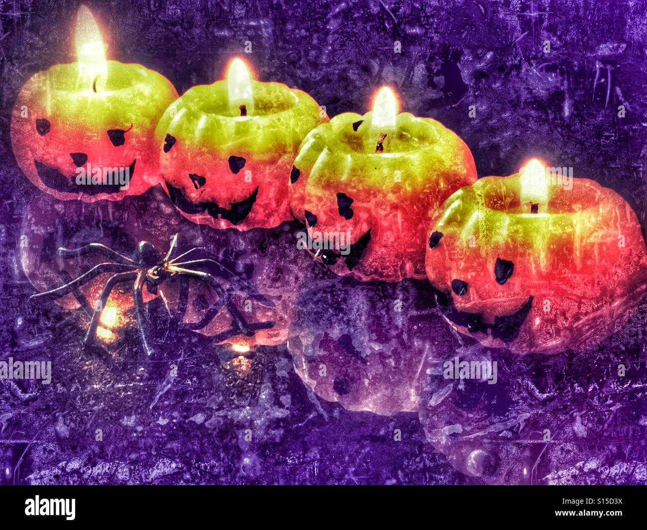Halloween. Four pumpkin candles and a creepy big black spider - Smartphone Captured Stock Image