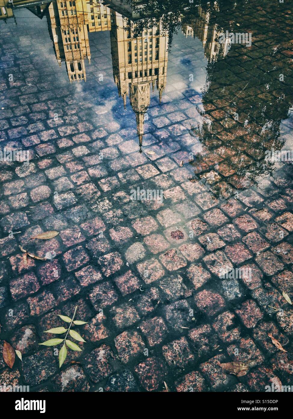 Cobblestone road and puddle - Smartphone Captured Stock Image