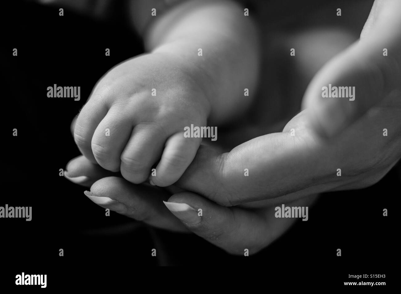 Baby hand Stock Photo