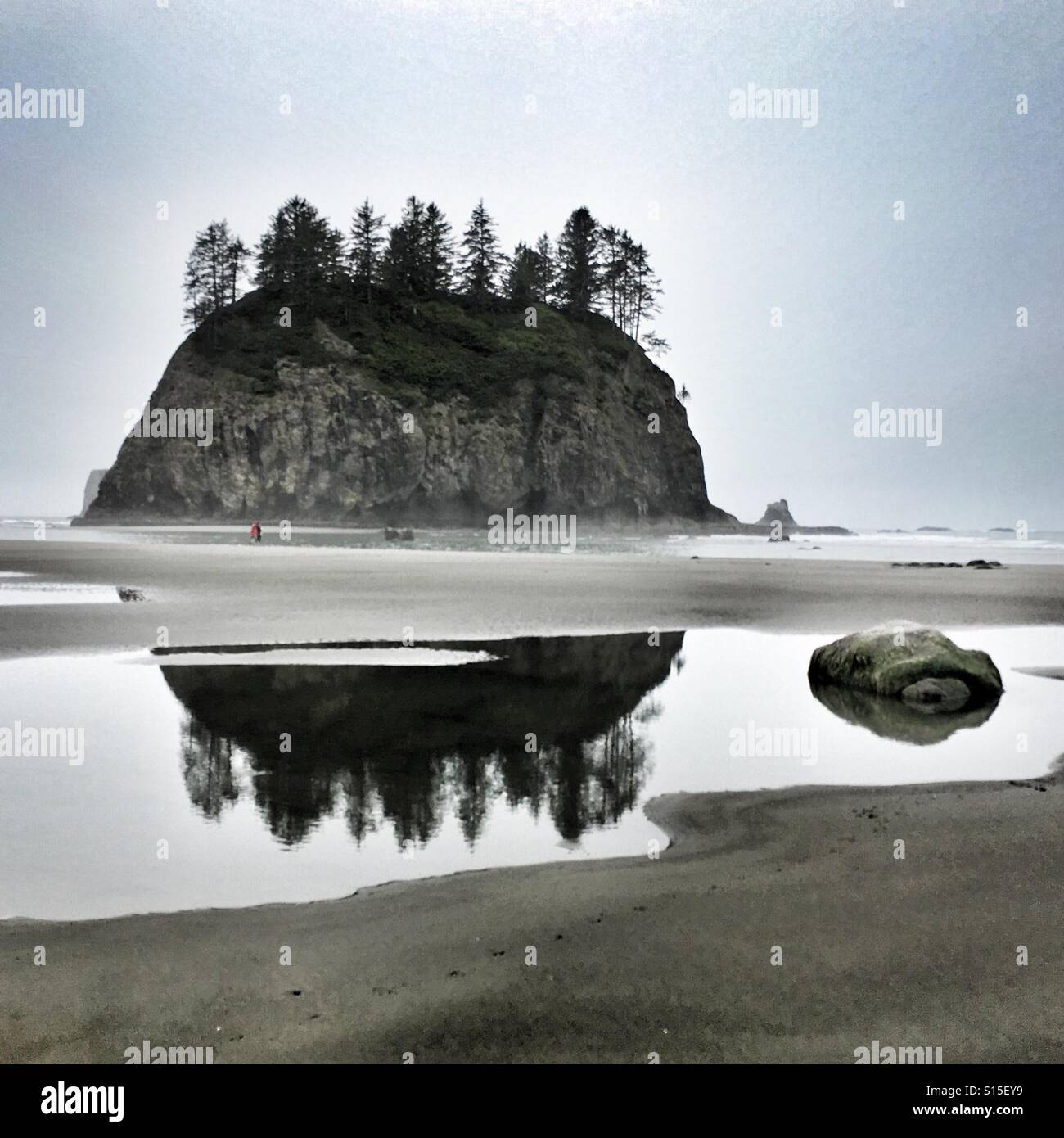 Island at second beach, La Push, Washington State - Smartphone Captured Stock Image
