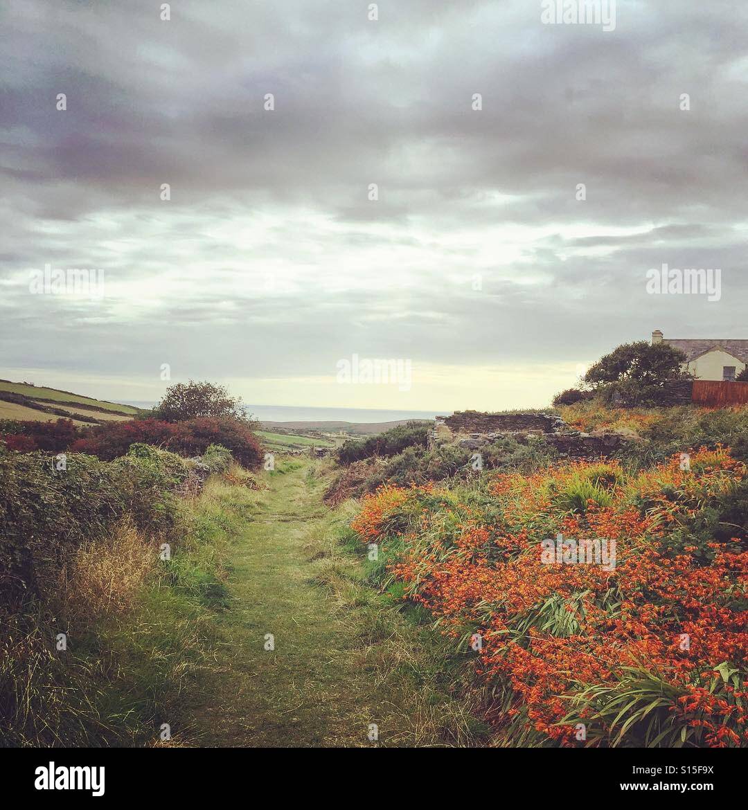 The last mile Stock Photo Alamy