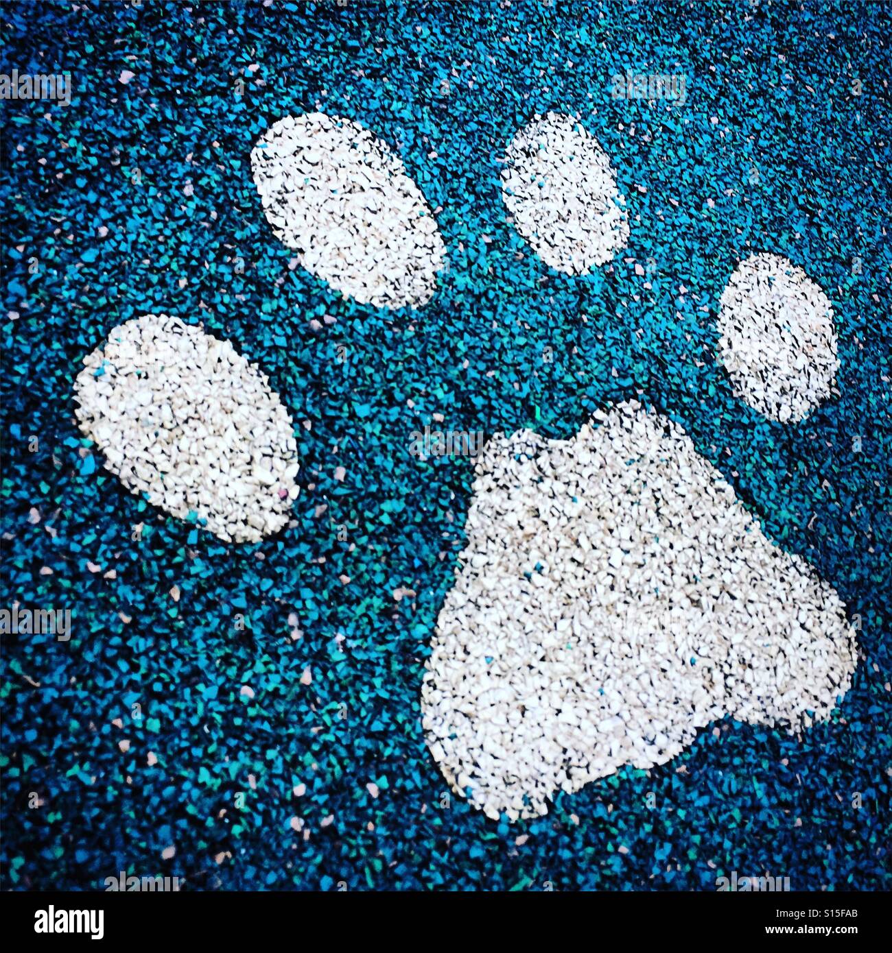 Paw of dog stock photo alamy