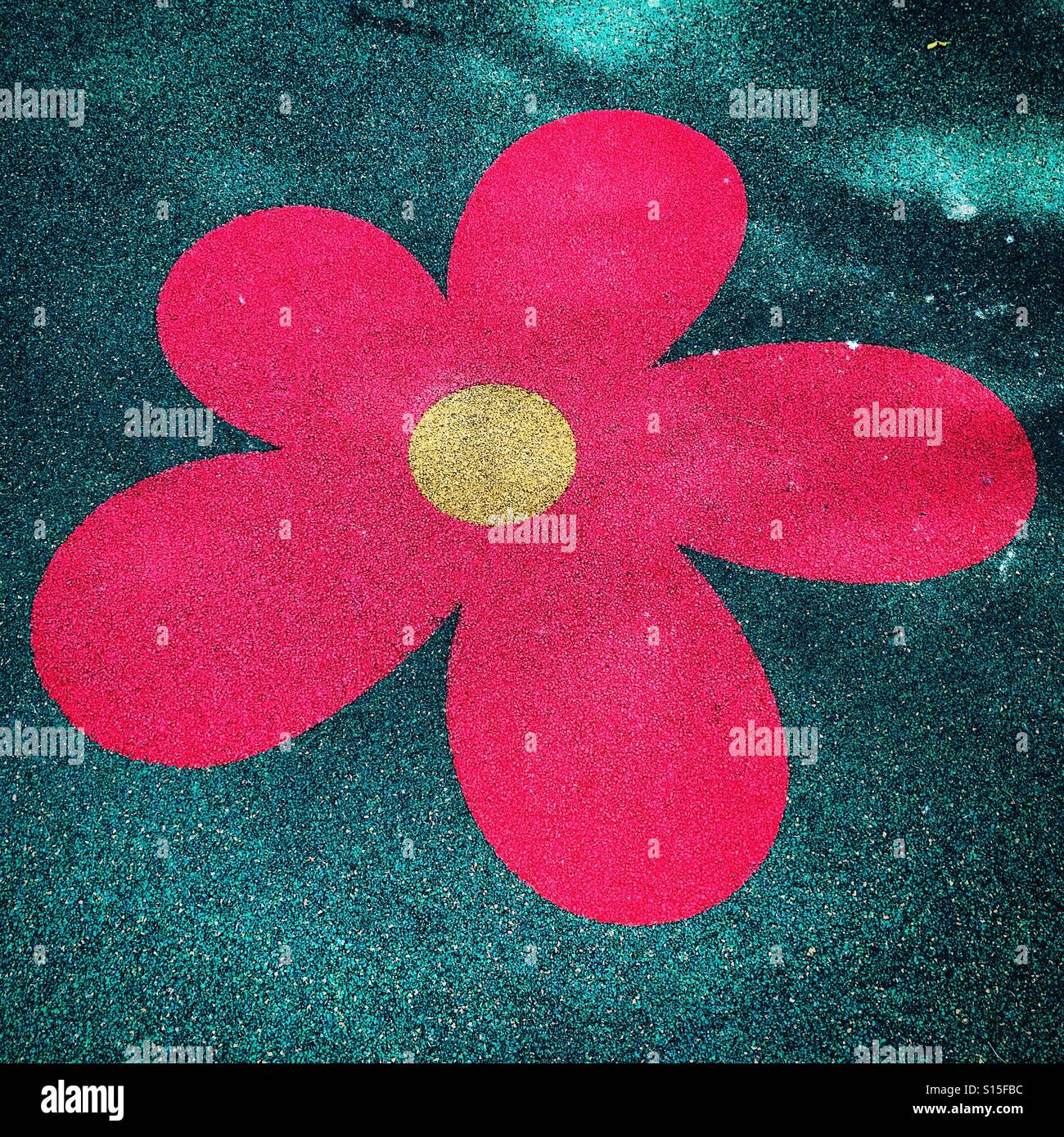 Red flower - Smartphone Captured Stock Image