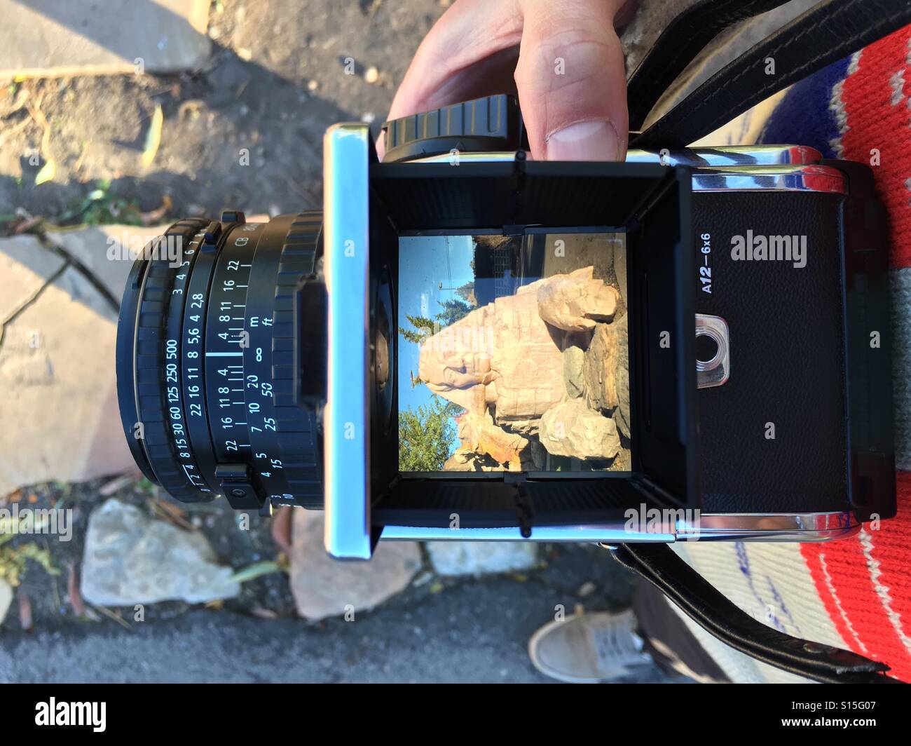 A sphinx is seen through the waist level viewfinder of a Hasselblad film camera. Stock Photo