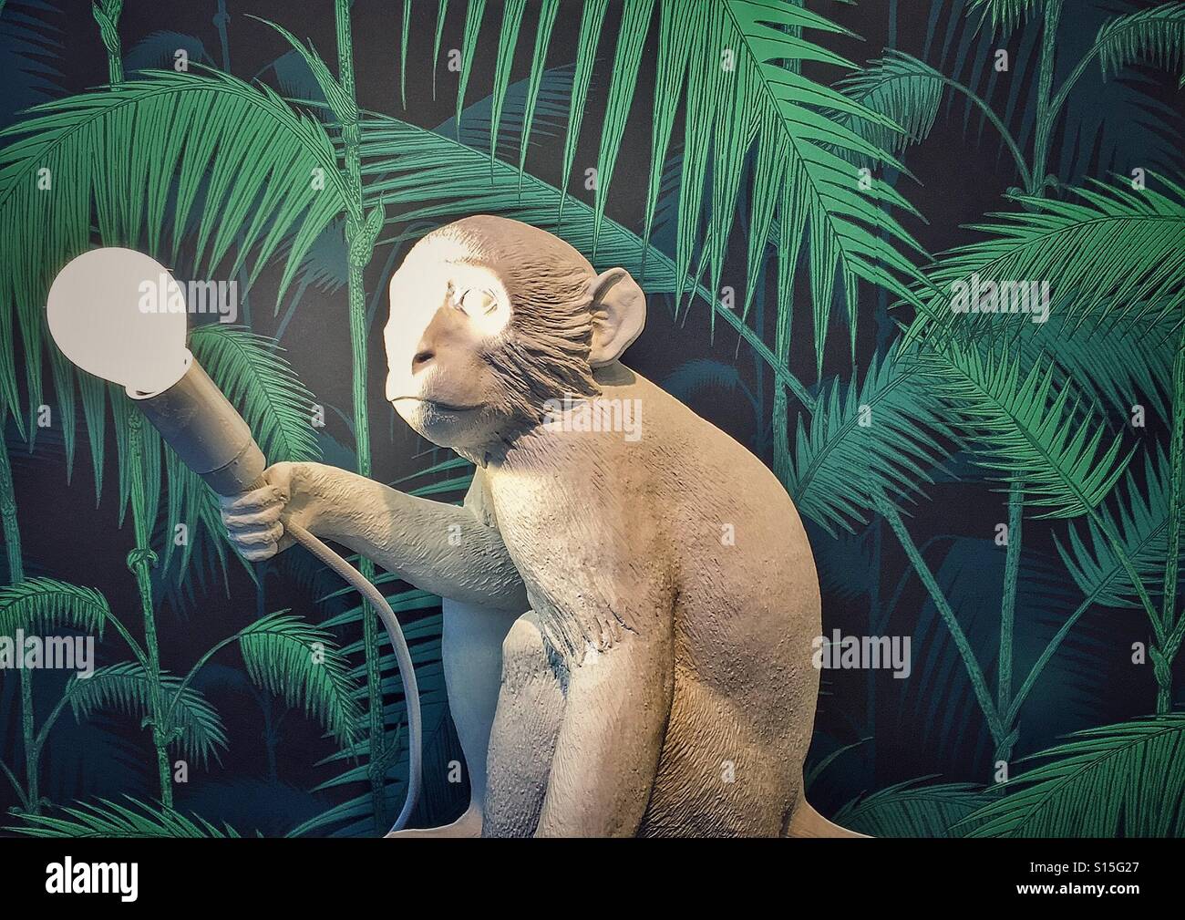 Monkey holding light Stock Photo - Alamy