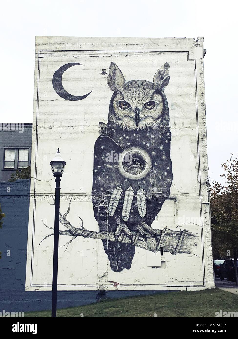 A giant mural of an owl in Fayetteville, Arkansas, USA Stock Photo Alamy
