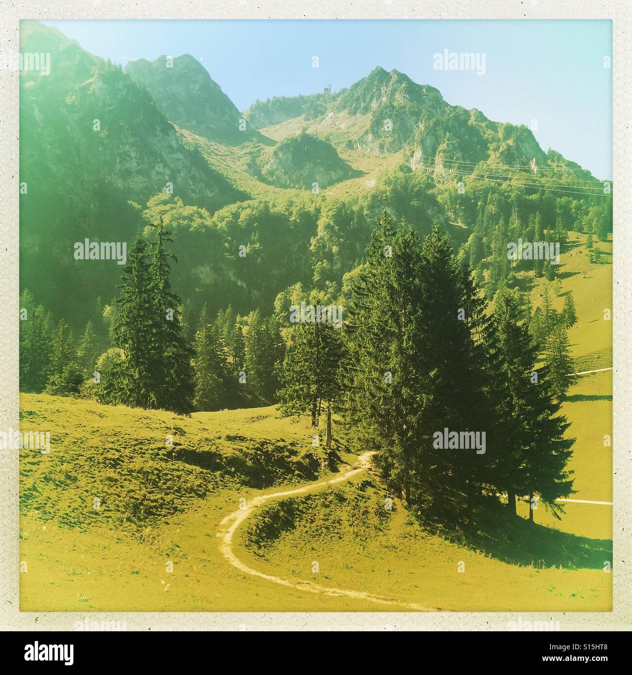 Hiking path in the German Alps leading to the summit of the Hochfelln mountain - Smartphone Captured Stock Image