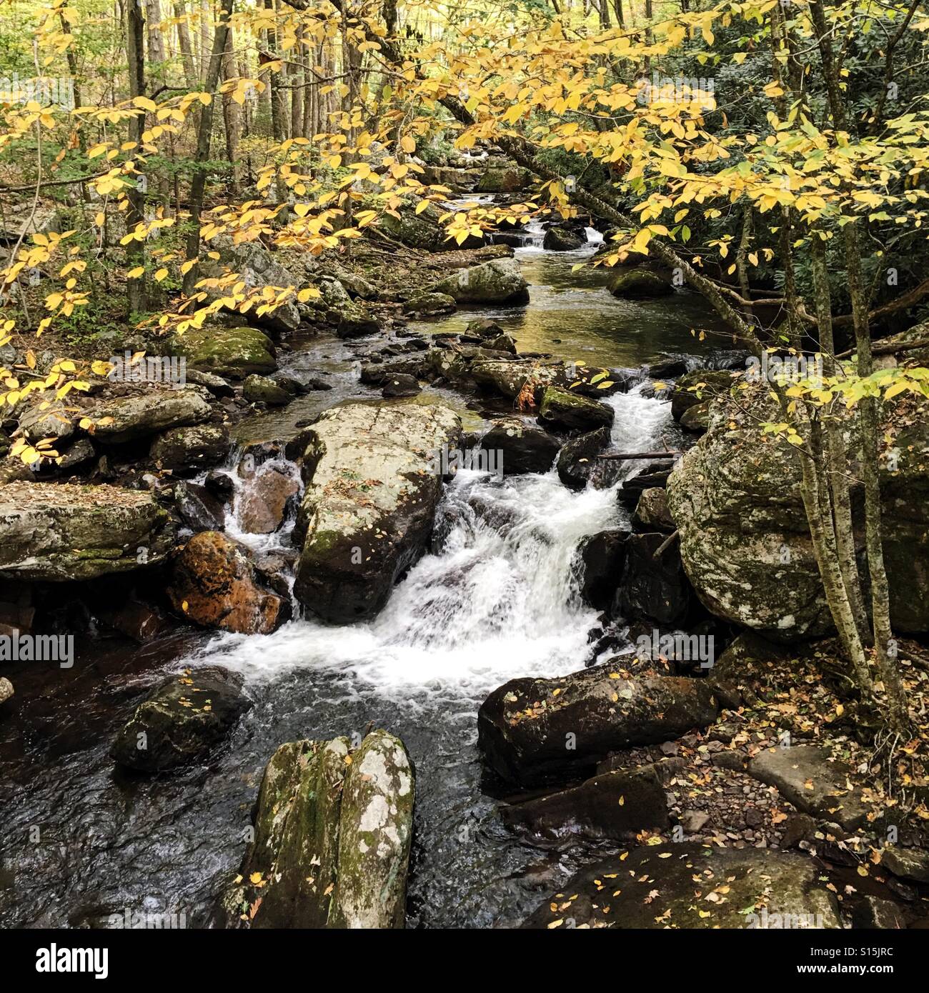 Water fall cascades hi-res stock photography and images - Alamy