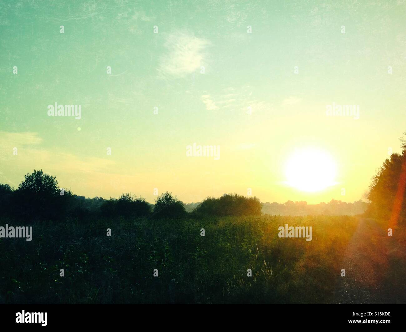 Sunrise with flares - Smartphone Captured Stock Image