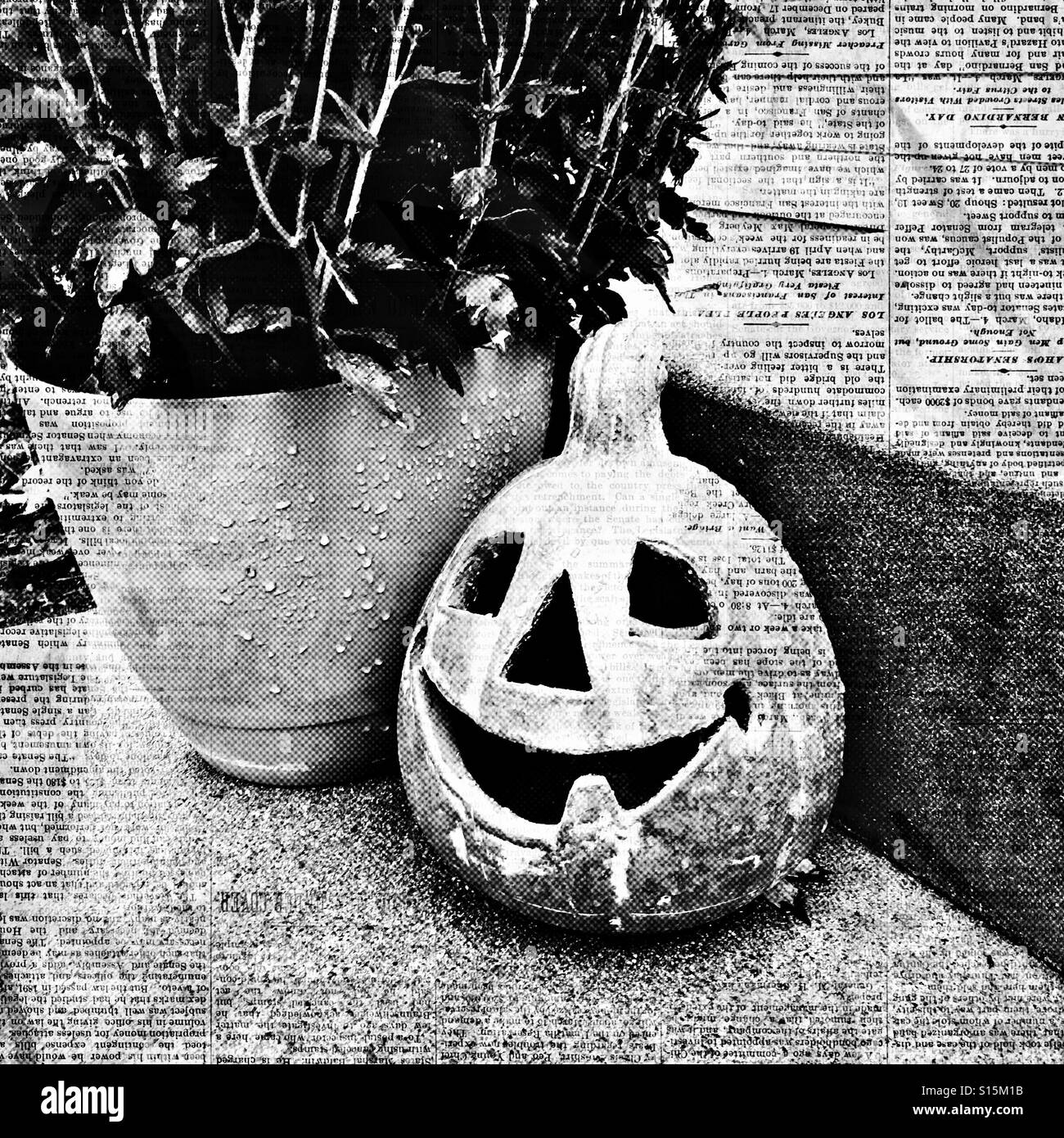 A ceramic jack o lantern by a green planter; with a letterpress filter (b/w) - Smartphone Captured Stock Image