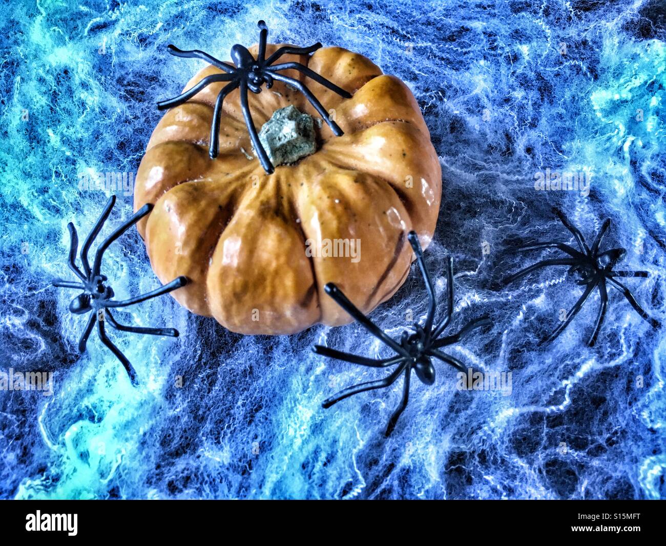 Creepy spiders hi-res stock photography and images - Alamy, image size:1300x1065