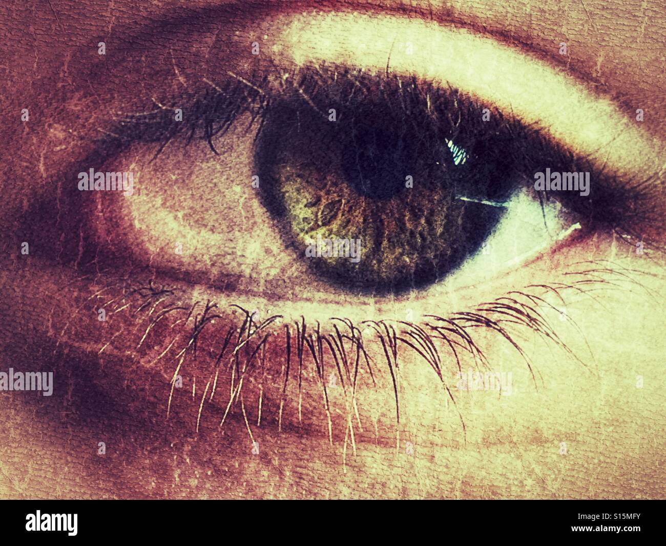 Eye - Smartphone Captured Stock Image