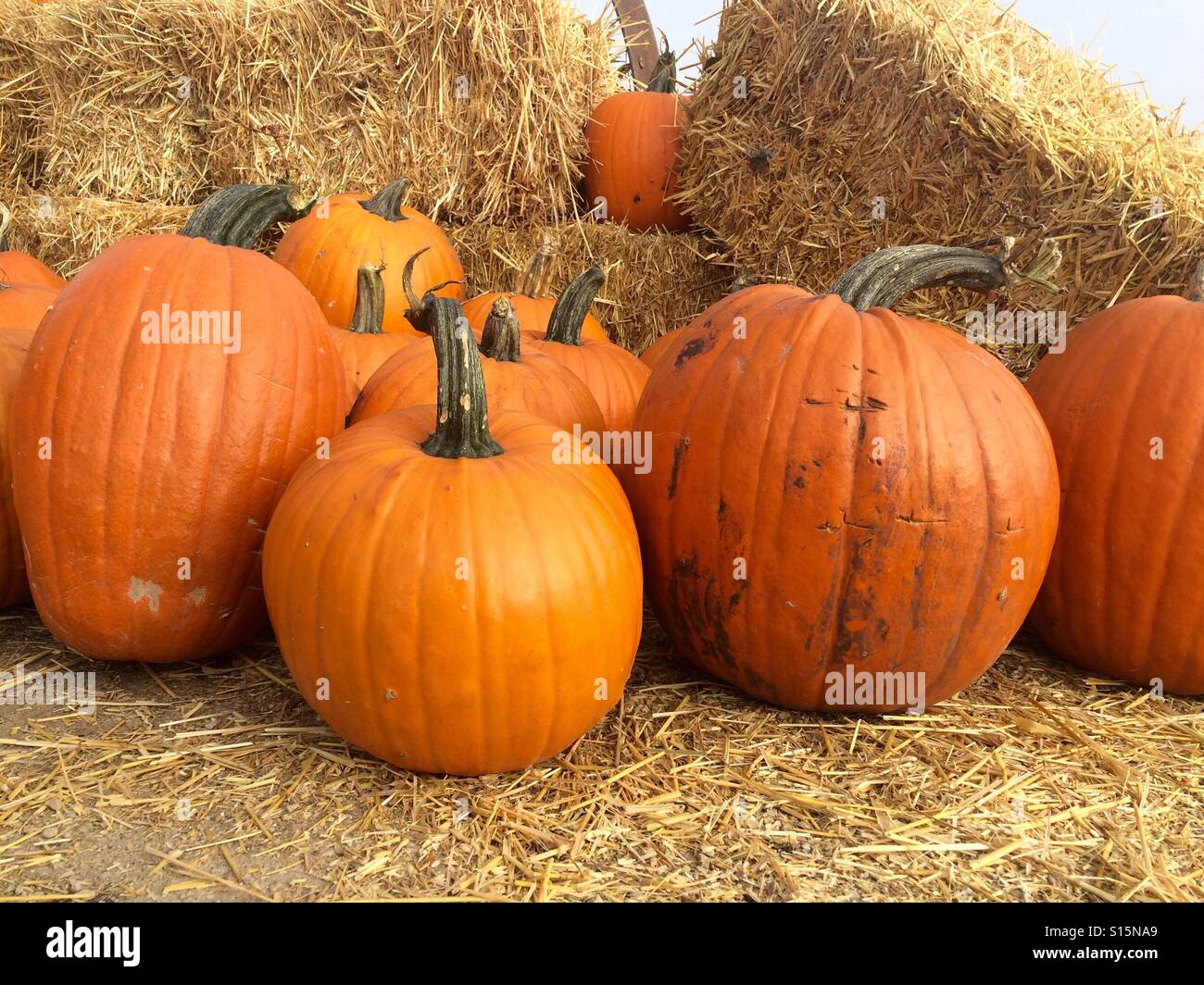 Pumpkins and hay bales, fall farmers market Stock Photo
