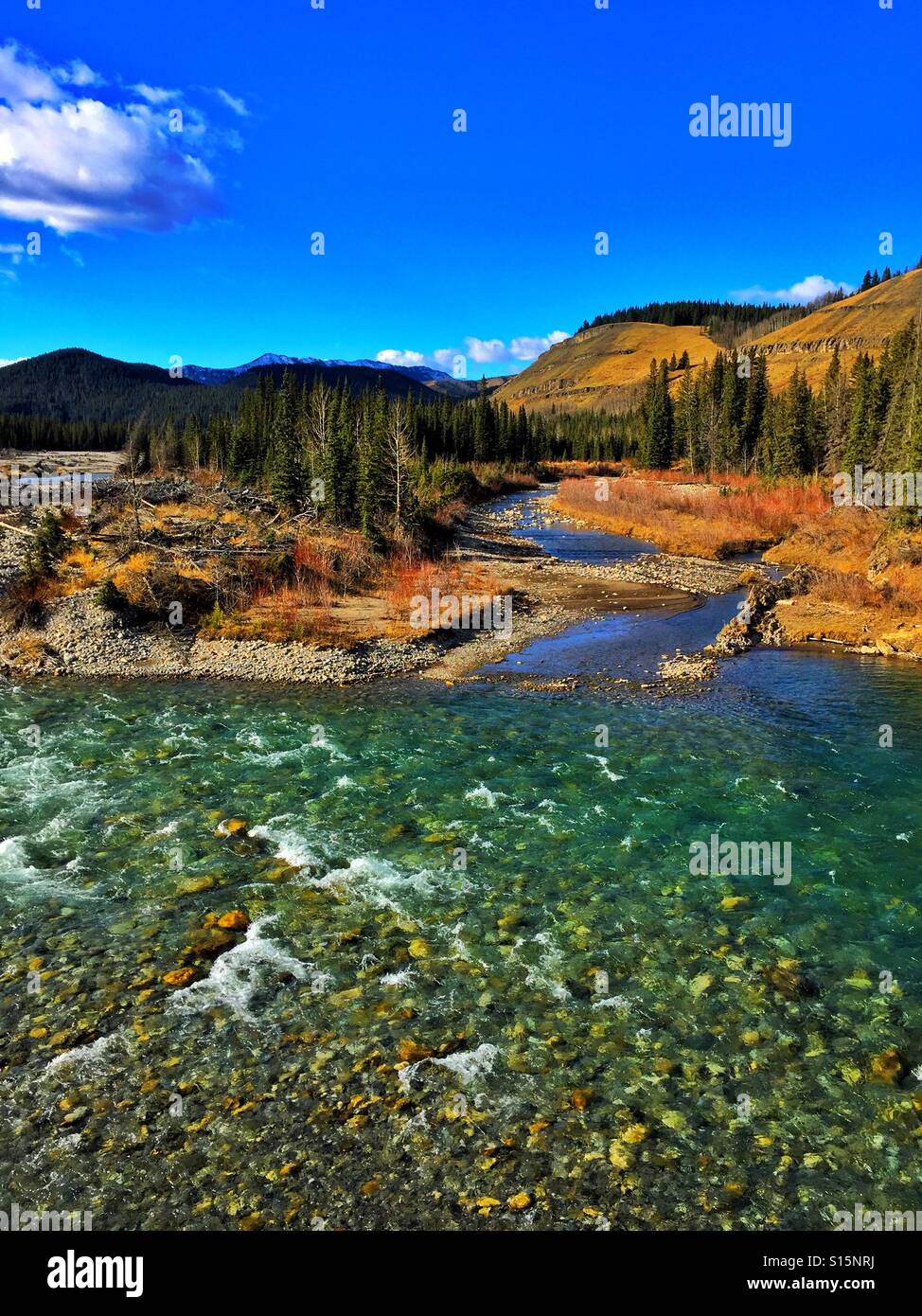 Wilderness landscape - Smartphone Captured Stock Image