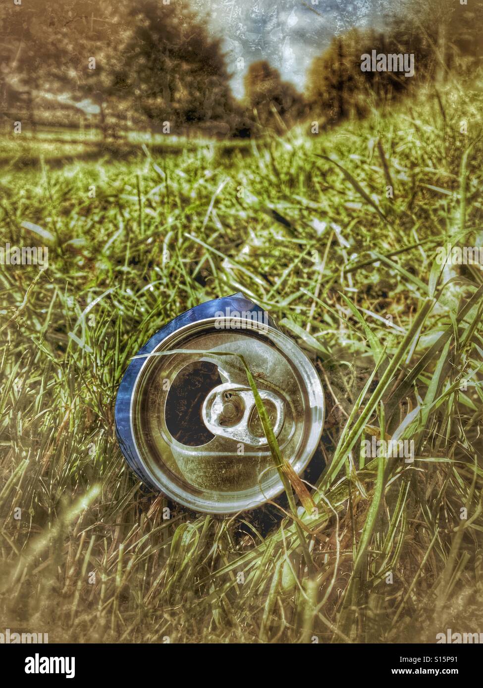 Aluminium drinks can in the grass. Discarded and not recycled - rubbish Stock Photo