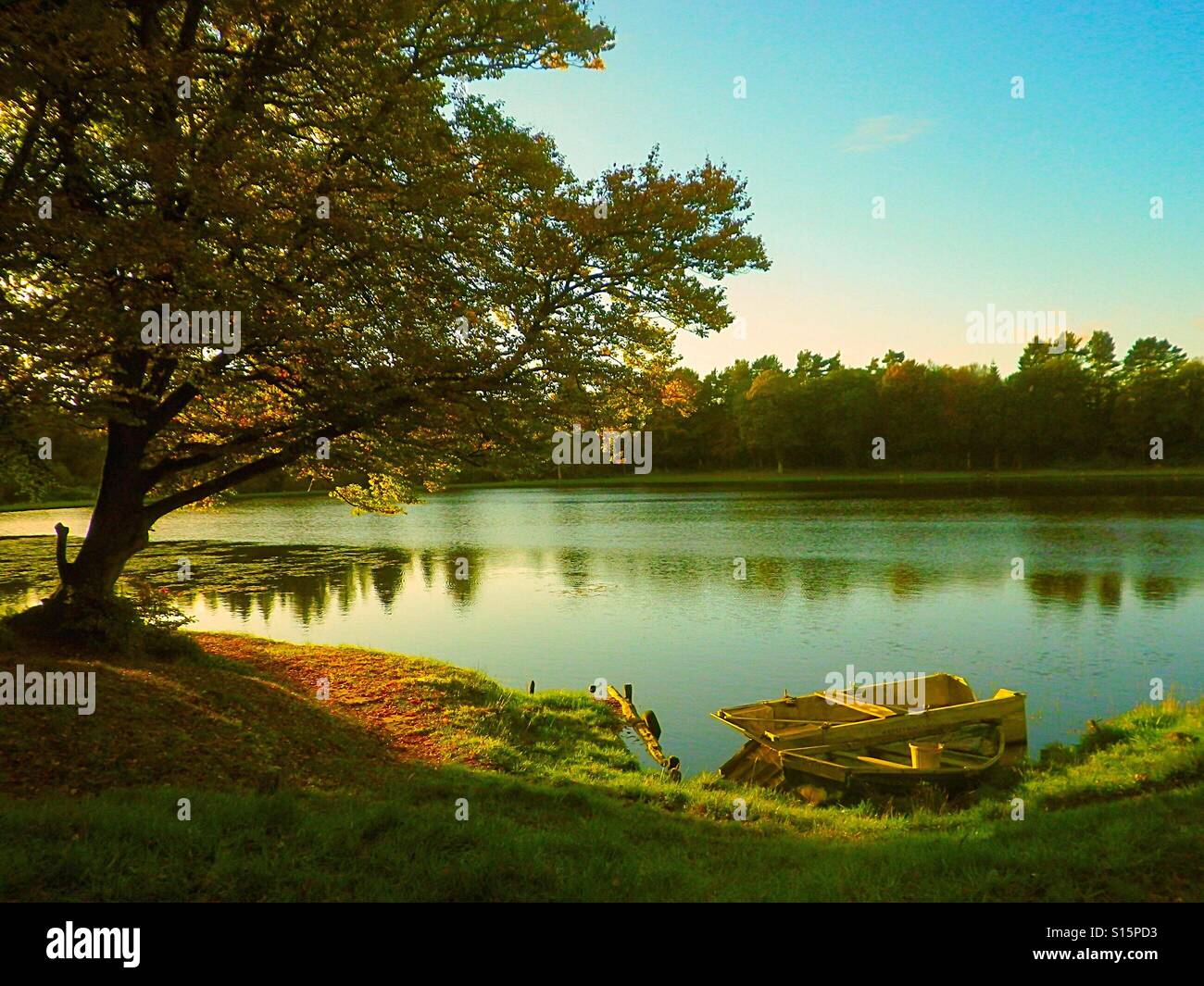 Autumn scene on fishing lake, Ayrshire, Scotland, UK - Smartphone Captured Stock Image