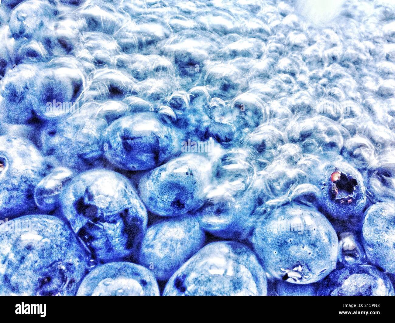 Berries and bubbles Stock Photo Alamy