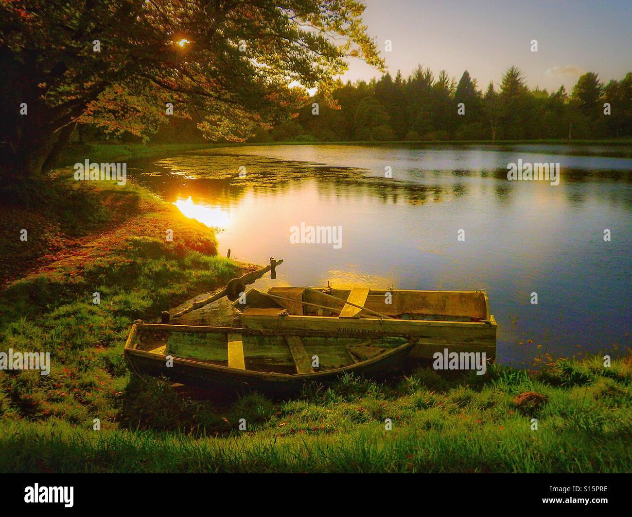 Sun reflecting on a calm lake, Ayrshire, Scotland, UK - Smartphone Captured Stock Image