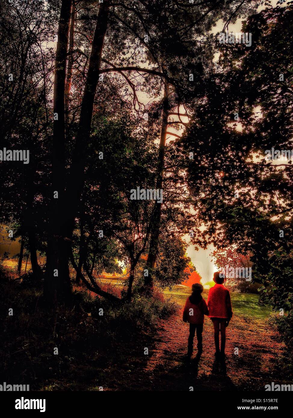 Children in the forest - Smartphone Captured Stock Image Children in the forest - Smartphone Captured Stock Image