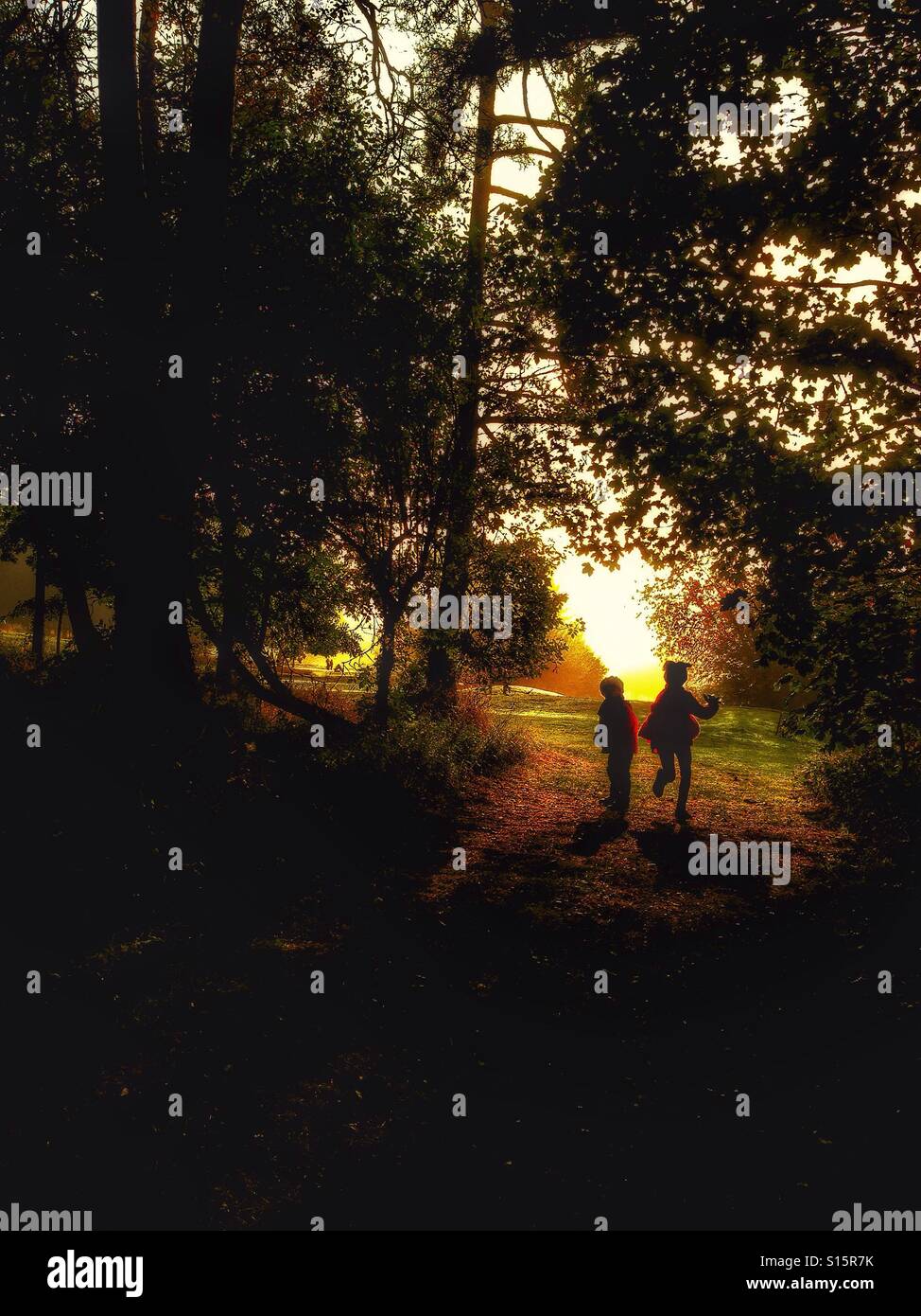 Children running in the woods. - Smartphone Captured Stock Image Children running in the woods. - Smartphone Captured Stock Image