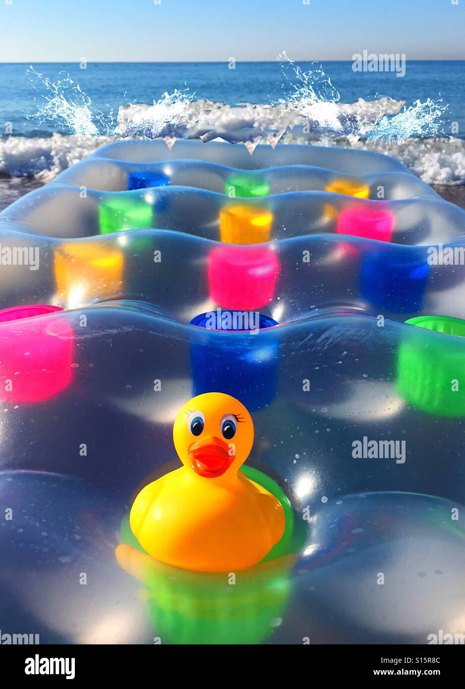 ...the very proud duck as captain...! - Smartphone Captured Stock Image