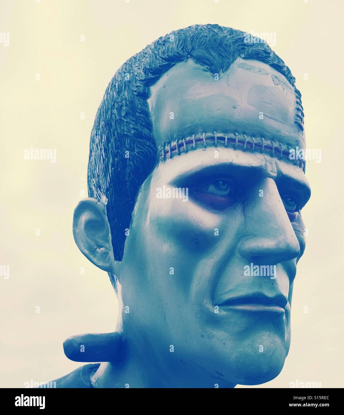 Frankenstein's Monster - Smartphone Captured Stock Image