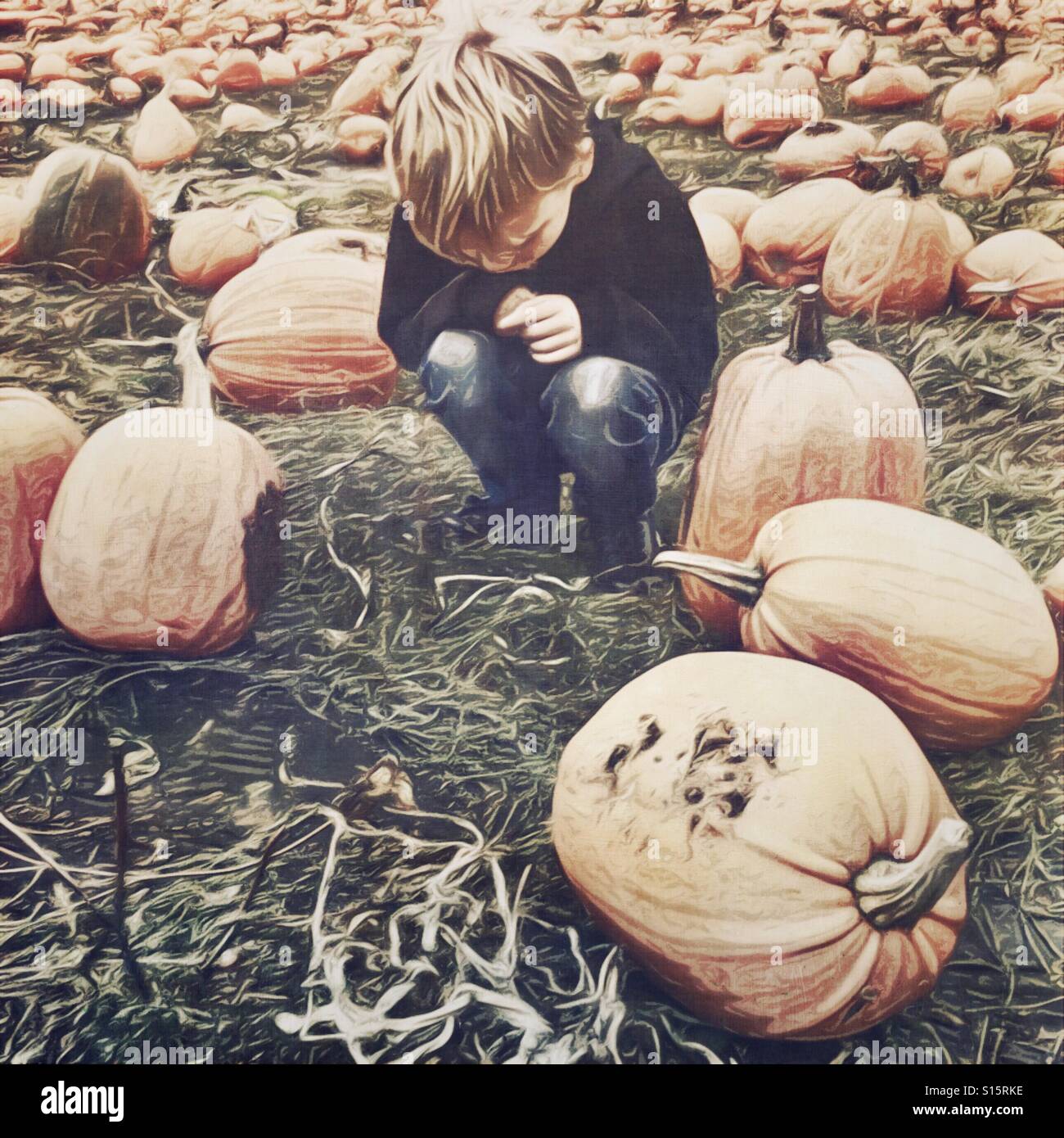 Kid in a pumpkin patch - Smartphone Captured Stock Image