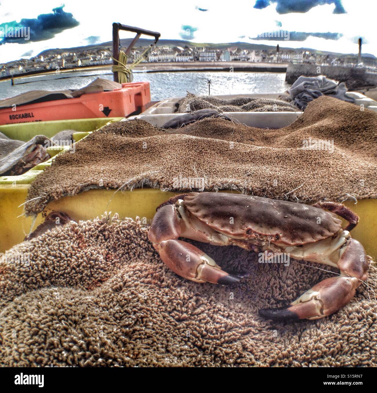 Bait Box Crab Lobster Wood Weathered Nautical Marine Matter Barnacles Crusty 