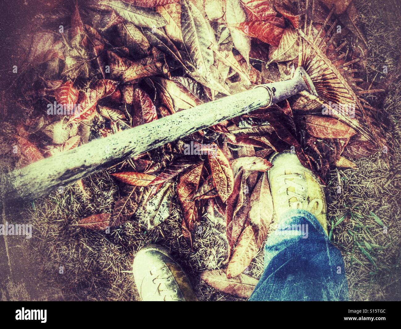 POV. Gardening. Raking up fallen leaves. - Smartphone Captured Stock Image