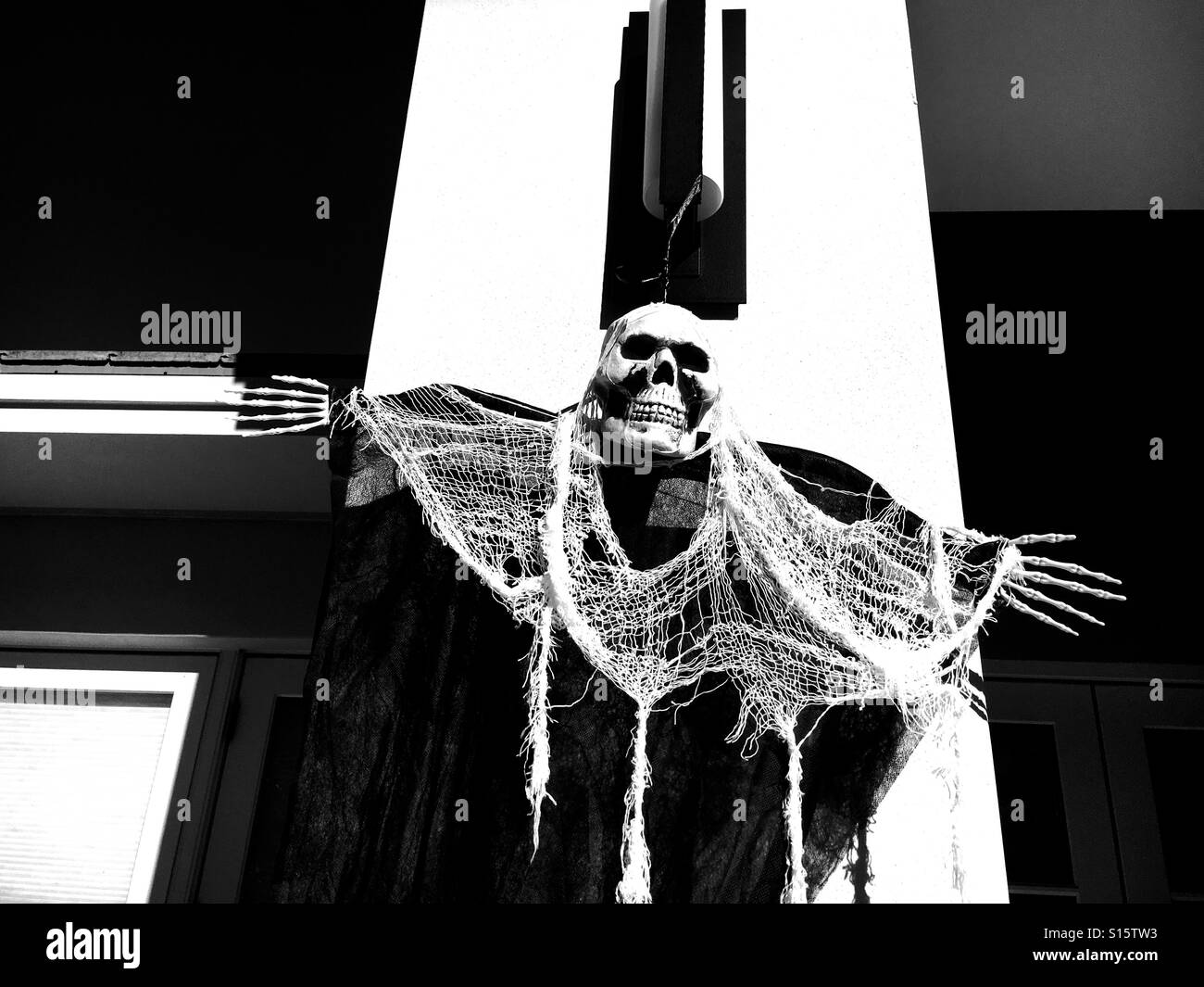 Scary Skelton - Smartphone Captured Stock Image