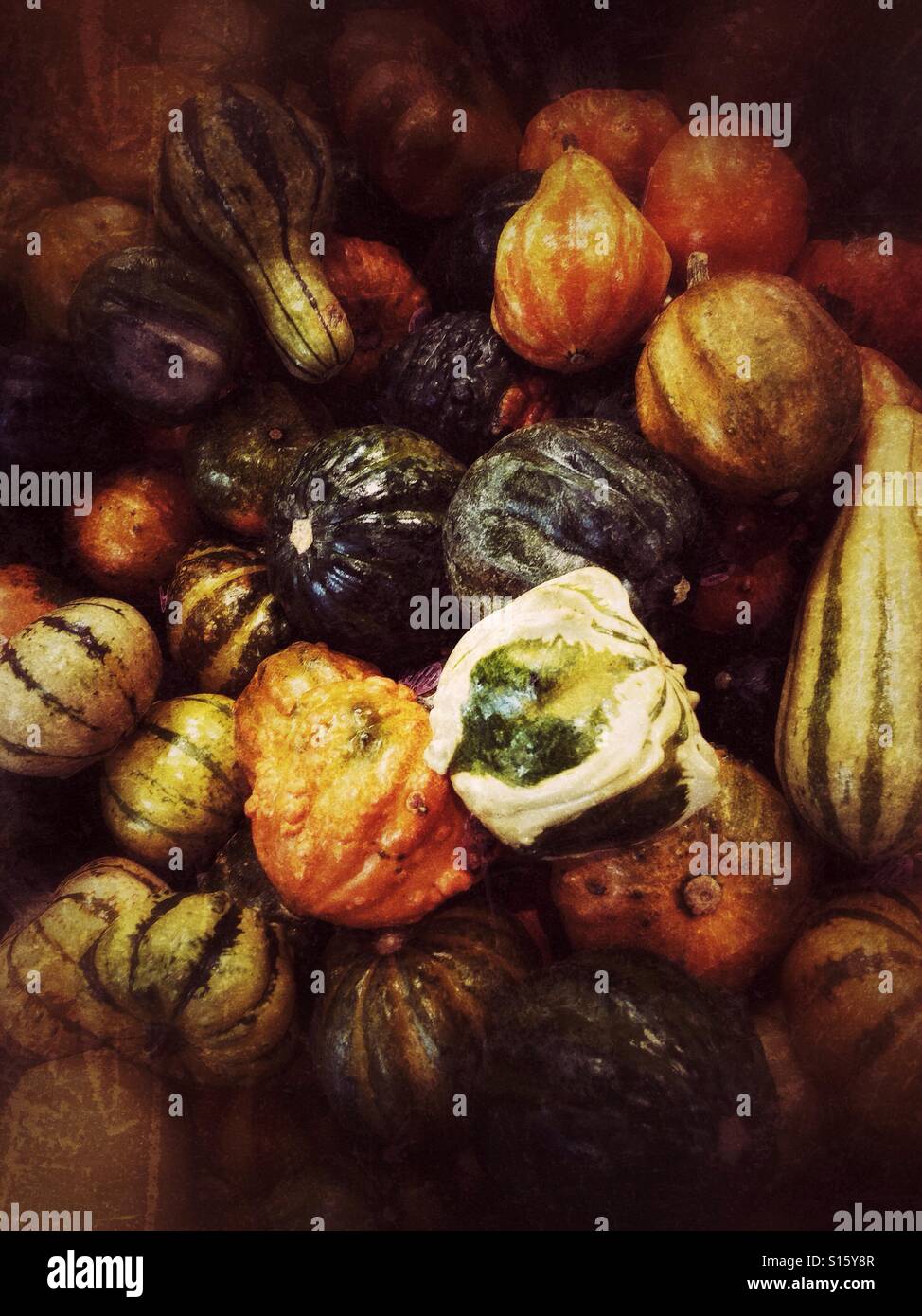 A pile of mixed gourds, with textured background. - Smartphone Captured Stock Image