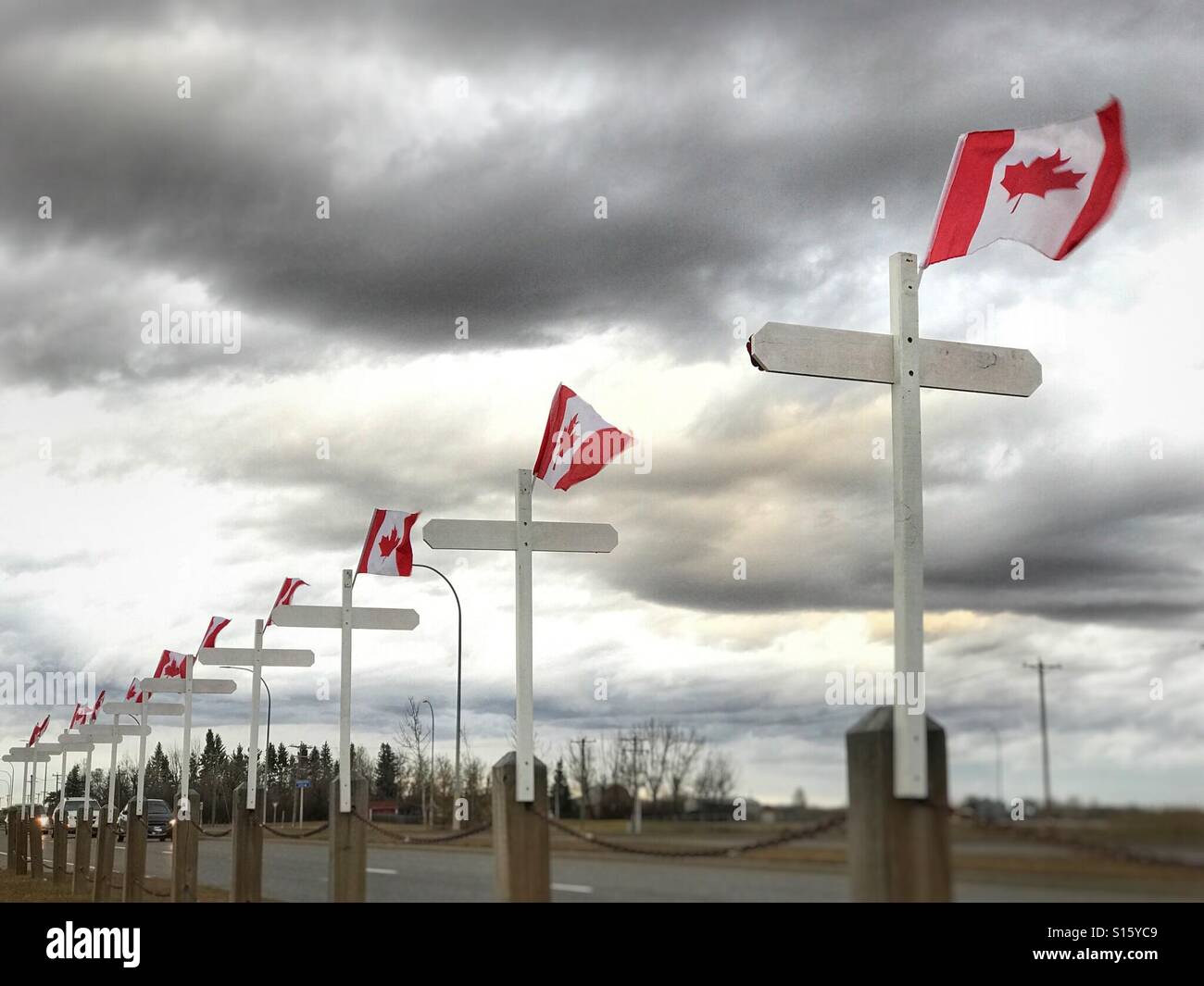 Canadian flags blow atop memorial crosses erected along a roadside in advance of Remembrance Day. - Smartphone Captured Stock Image