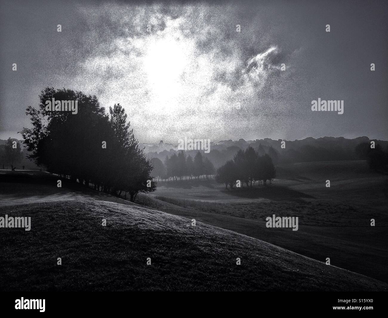 Sunrise in Surrey - Smartphone Captured Stock Image