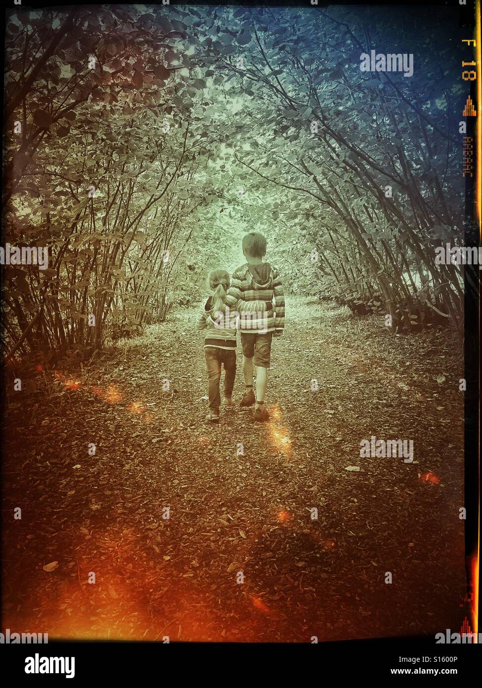 A brother and sister embrace each other as they walk along a woodland path & along an avenue of small trees. Sibling love, care and compassion. Photo Credit - © COLIN HOSKINS. - Smartphone Captured Stock Image