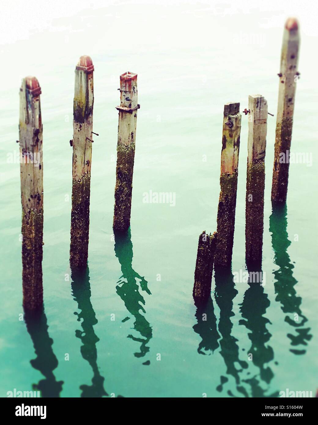 Pier support pilings hi-res stock photography and images - Alamy