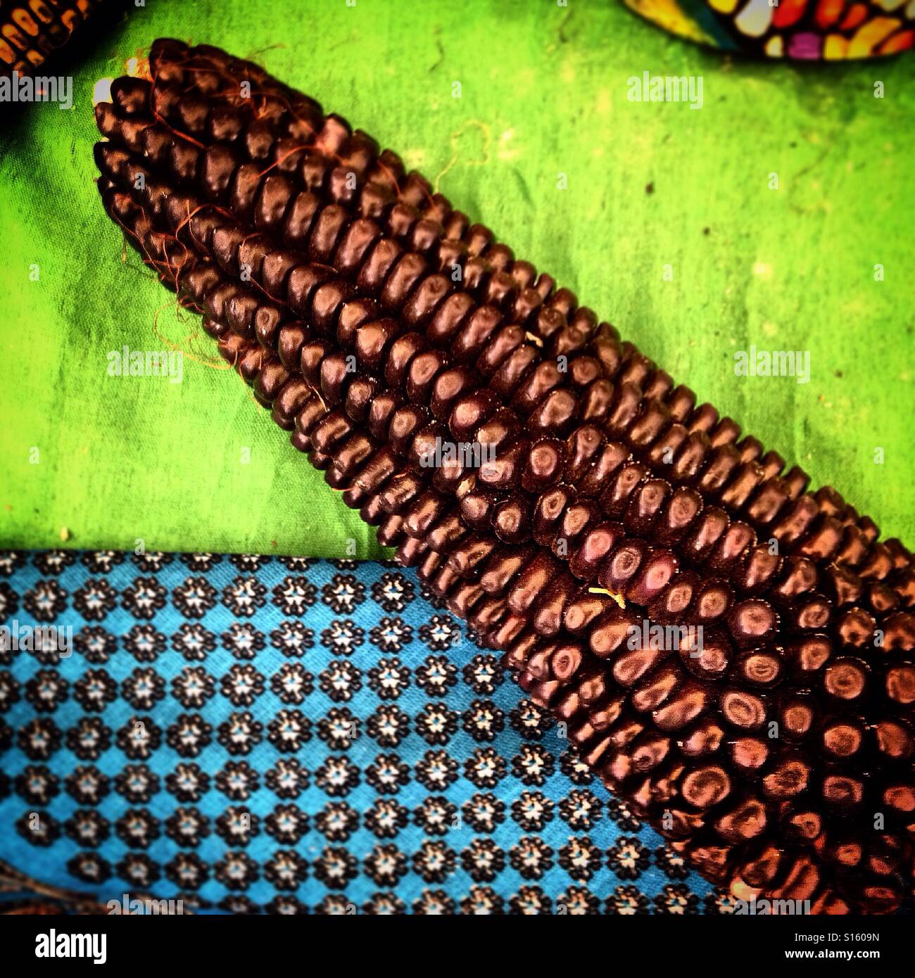 A brown corn cob in Foro Tianguis Alternativo in Mexico City, Mexico Stock Photo