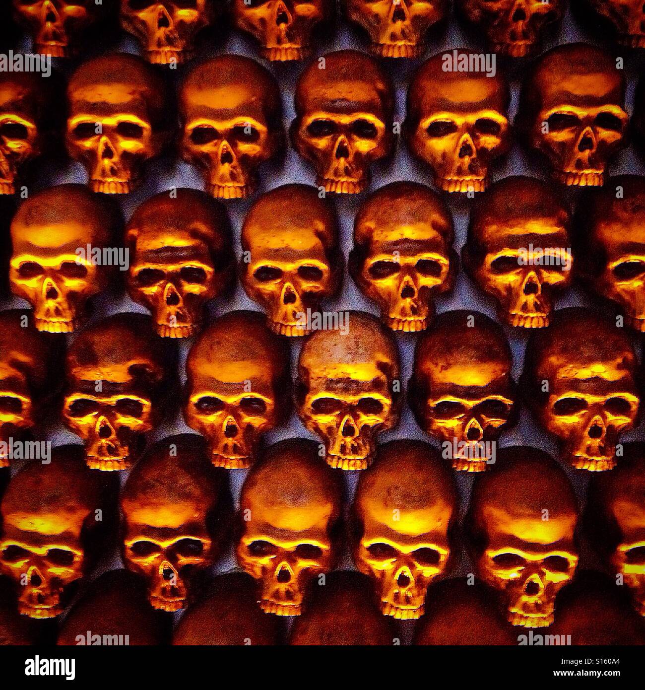 Skulls decorate a wall in Gin bar Mexico City, Mexico Stock Photo
