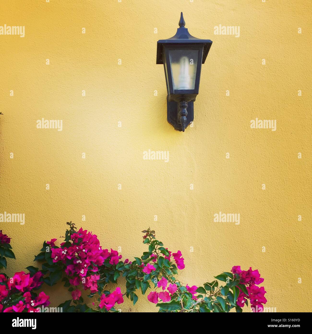 Spain - Smartphone Captured Stock Image